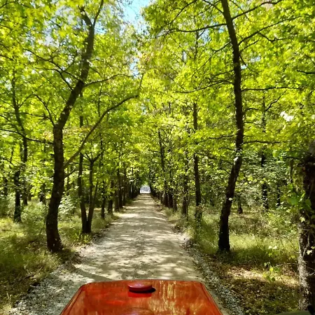 Refreshing Wooden House Close To The Beach Surrounded By Nature With Jacuzzi And Backyard In Ciftlik Holiday home *